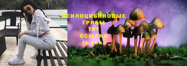 стафф Балахна